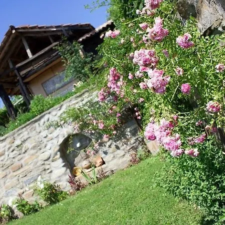Enyo House Pensiune *