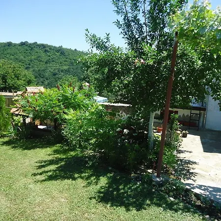 Enyo House * Slivovitsa